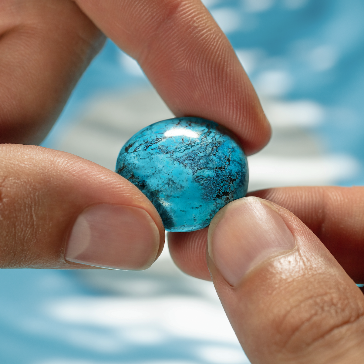 Nereide Turchese - 4521547